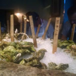 Eventide Oyster Co