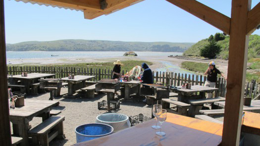 Hog Island Oyster Farm