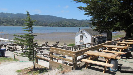 Tomales Bay Oyster Co