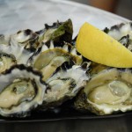 Sydney Rock Oyster